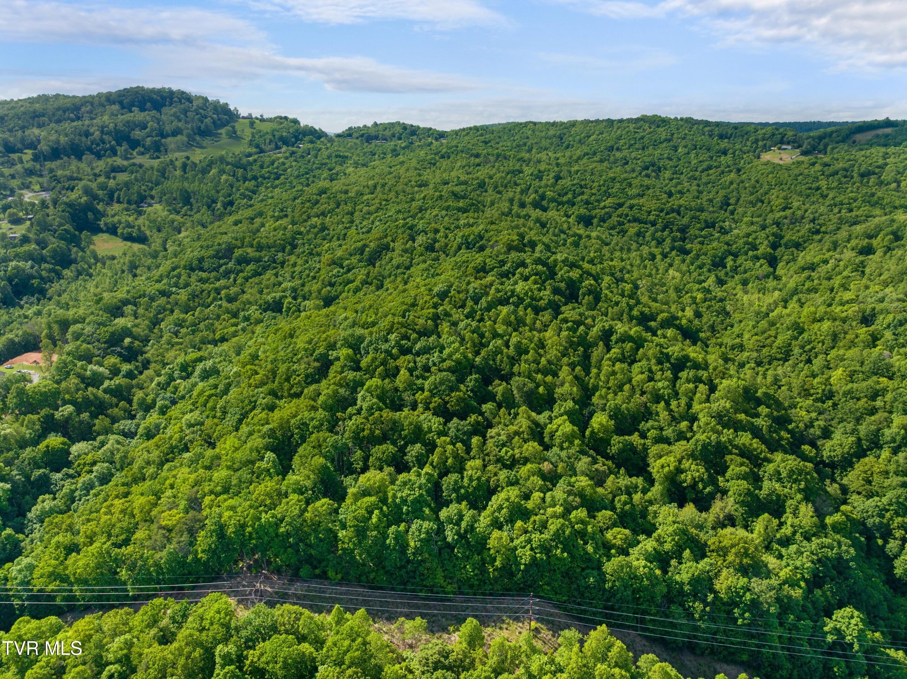 236 Beech Street Sneedville, TN 37869 - Photo 88 of 101 047-236BeechStreet-Sneedville-TN-37869-S