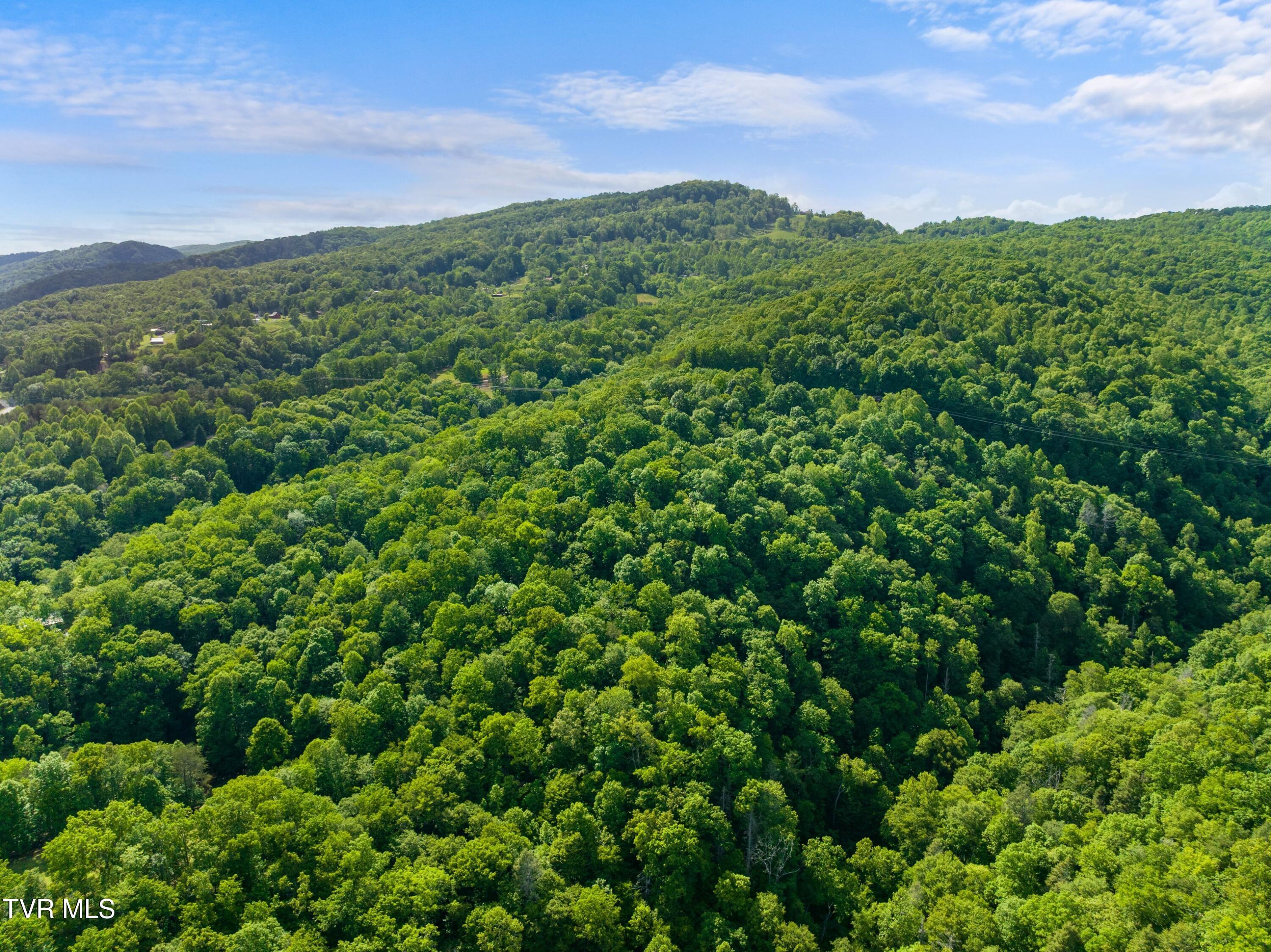 236 Beech Street Sneedville, TN 37869 - Photo 93 of 101 046-236BeechStreet-Sneedville-TN-37869-S