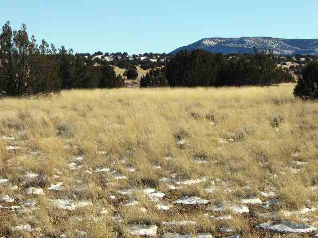 Lot 388 Woodridge Ranch Snowflake, AZ 85937 - Photo 1 of 5