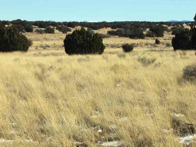 Lot 388 Woodridge Ranch Snowflake, AZ 85937 - Photo 2 of 5