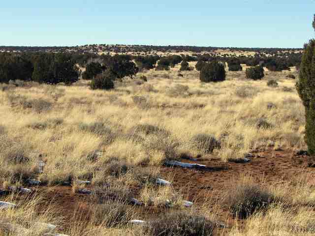 Lot 388 Woodridge Ranch Snowflake, AZ 85937 - Photo 3 of 5