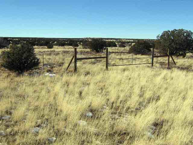 Lot 388 Woodridge Ranch Snowflake, AZ 85937 - Photo 4 of 5