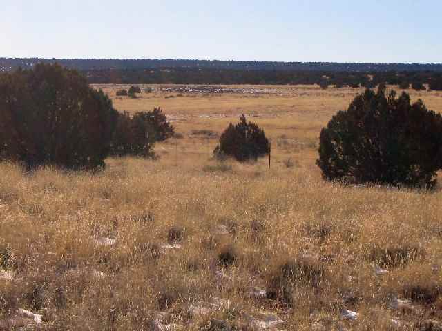 Lot 388 Woodridge Ranch Snowflake, AZ 85937 - Photo 5 of 5