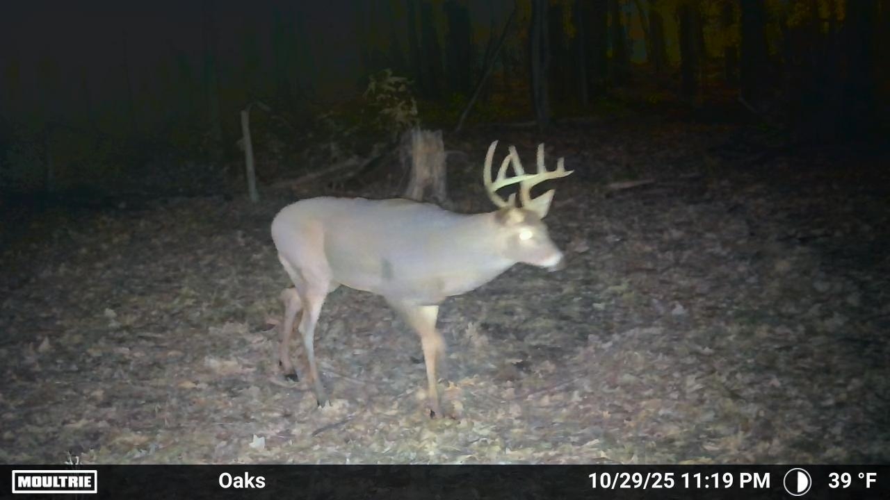 5777 Conrad Road Mayville, MI 48744 - Photo 50 of 51 1948005-0581e705-1894-4653-969c-9ba379a0fc4d.JPG