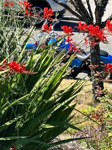 $1,275,000 | 4110 Southwest Rose Street, Seattle, WA 98136