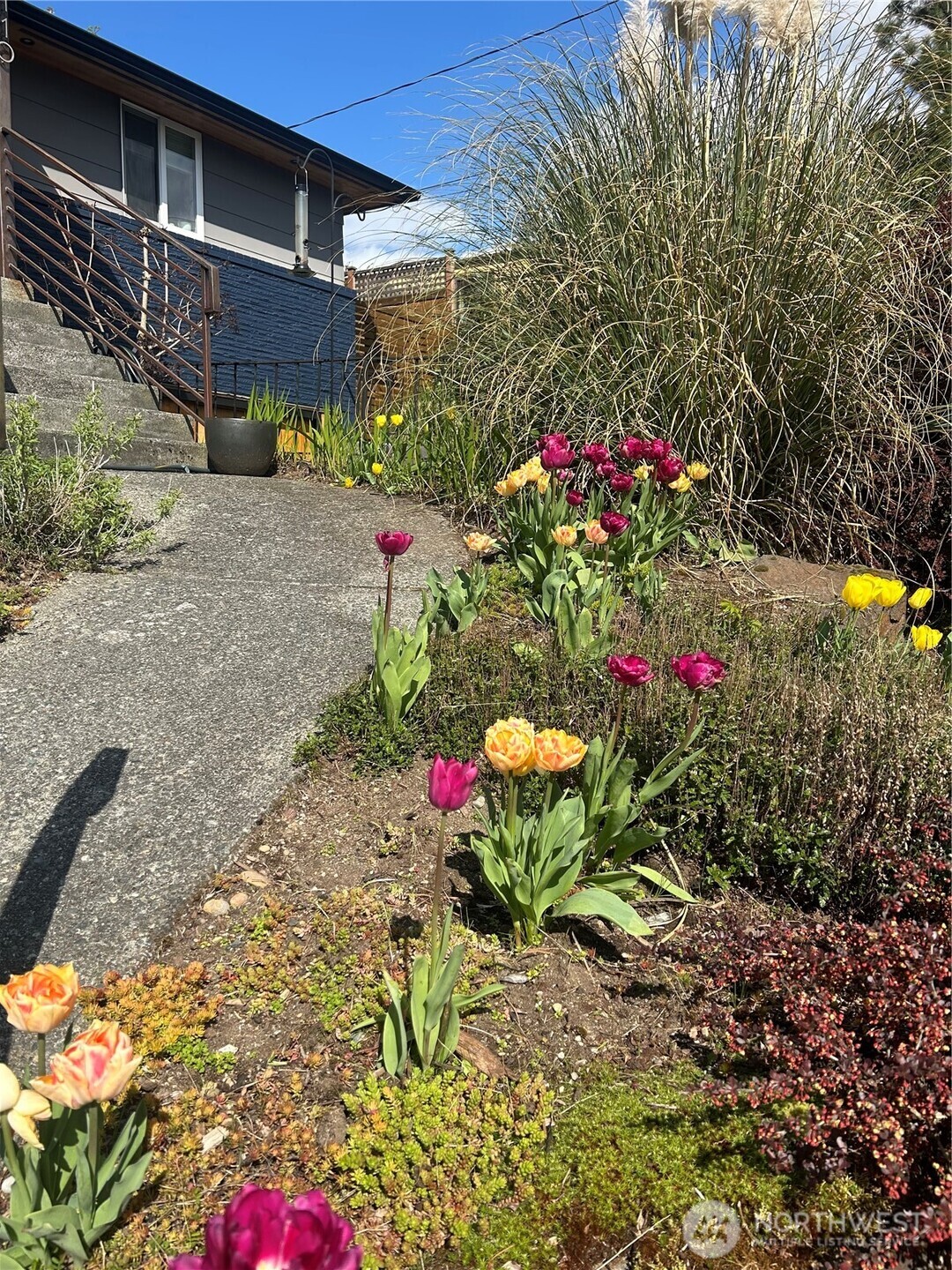 4110 Southwest Rose Street Seattle, WA 98136 - Photo 39 of 39 a view of a backyard with flowers