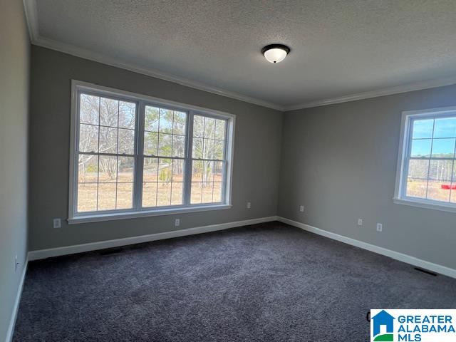 3230 Blooming Grove Road Jasper, AL 35504 - Photo 12 of 23