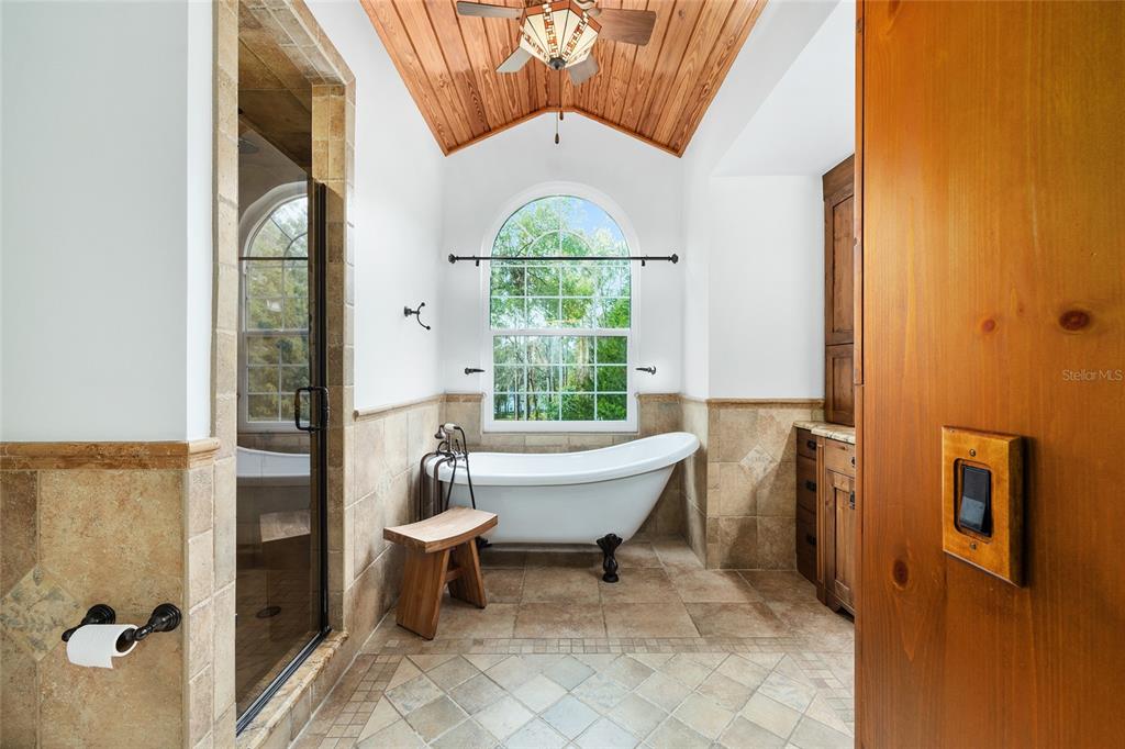 12861 Southwest 45th Lane Road Ocala, FL 34481 - Photo 30 of 73