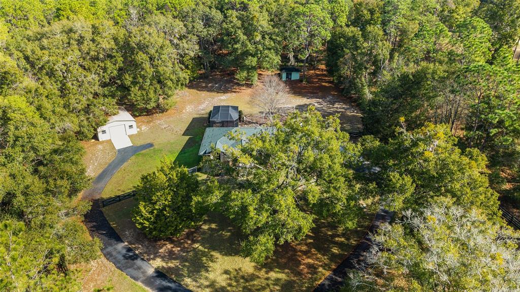12861 Southwest 45th Lane Road Ocala, FL 34481 - Photo 59 of 73 a view of a yard with plants and large trees