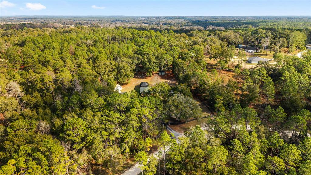 12861 Southwest 45th Lane Road Ocala, FL 34481 - Photo 60 of 73