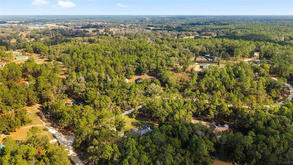 12861 Southwest 45th Lane Road Ocala, FL 34481 - Photo 63 of 73