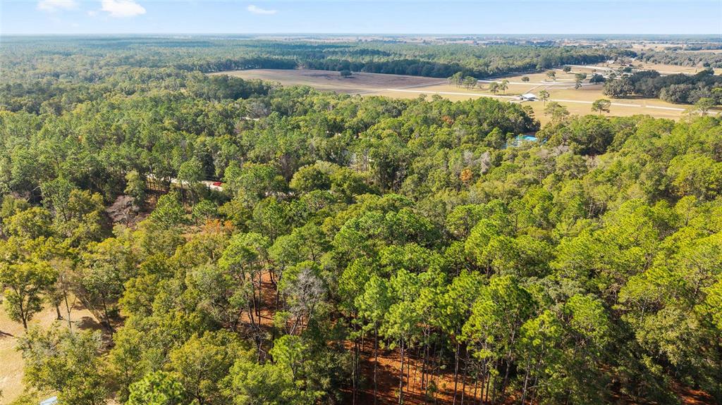 12861 Southwest 45th Lane Road Ocala, FL 34481 - Photo 68 of 73 an aerial view of residential houses with outdoor space and trees