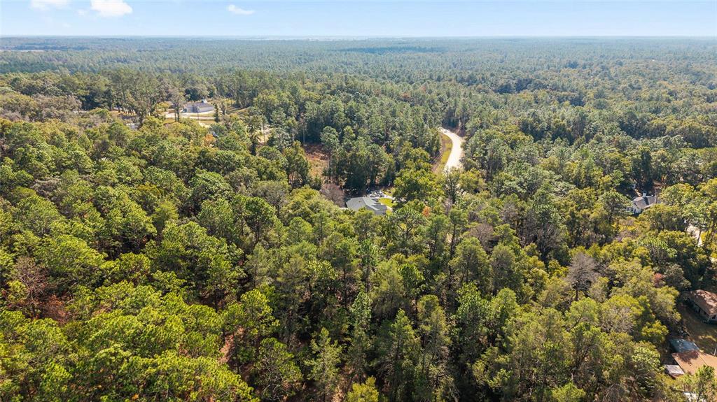 12861 Southwest 45th Lane Road Ocala, FL 34481 - Photo 69 of 73