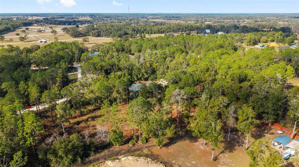 12861 Southwest 45th Lane Road Ocala, FL 34481 - Photo 70 of 73