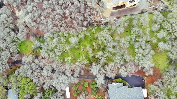 a view of yard with tree s