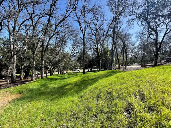 a big yard with lots of green space and trees