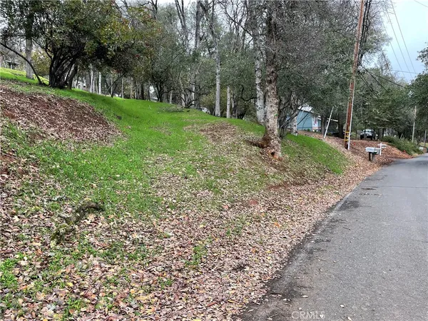 a huge green field with lots of trees