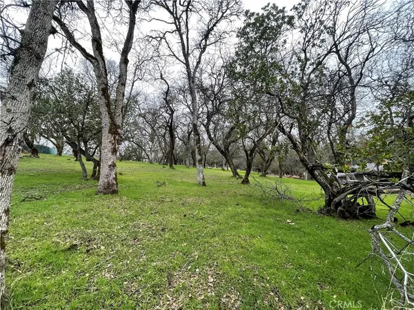 a view of a backyard with a garden