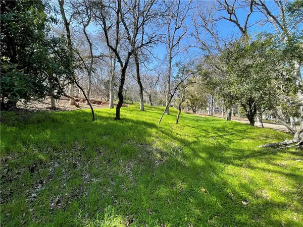 a view of backyard with green space