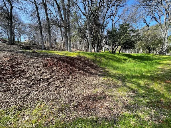 a picture of flowers