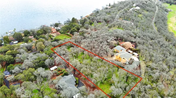 a picture of flowers