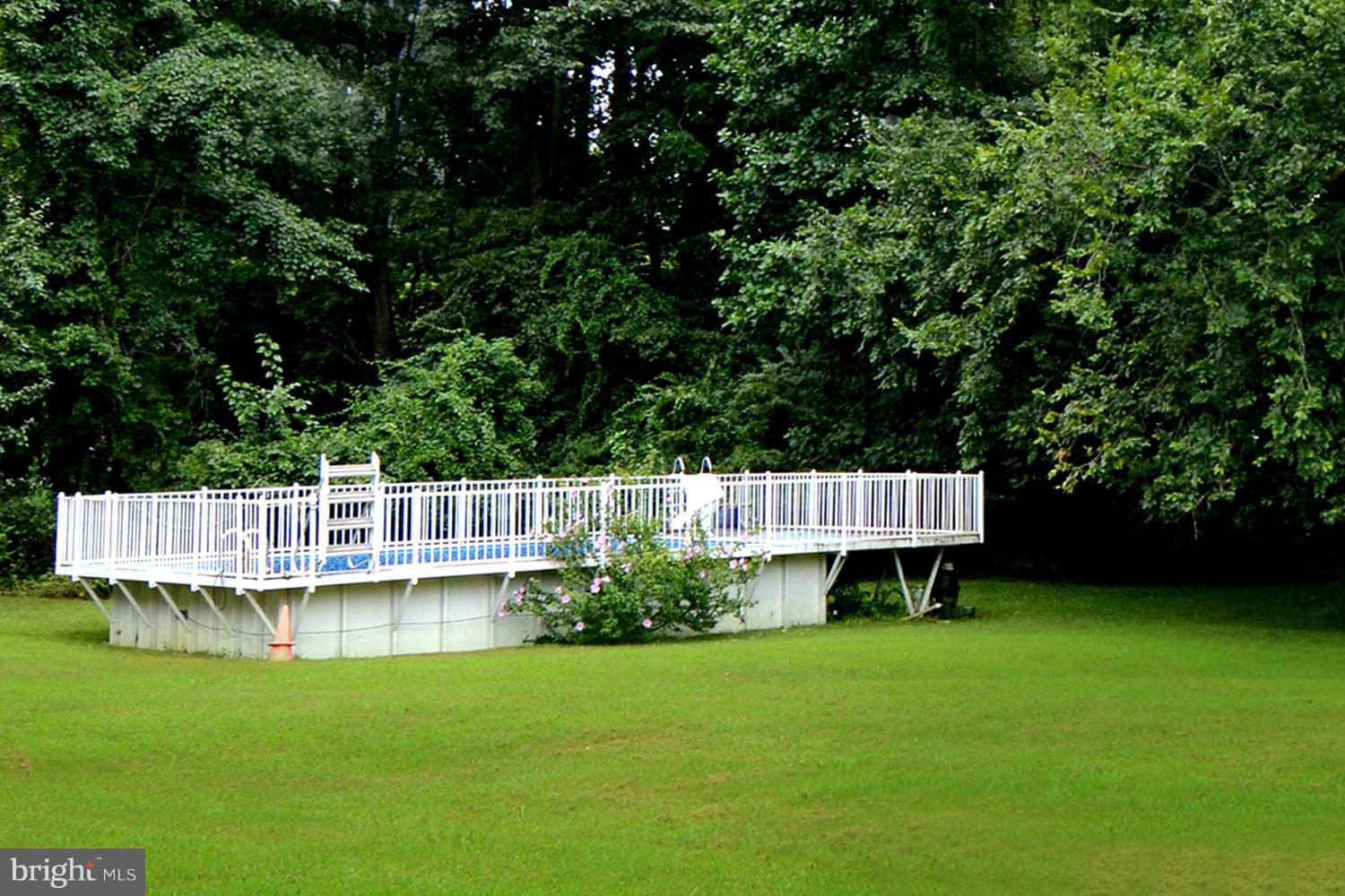1247 Bacon Ridge Road Crownsville, MD 21032 - Photo 14 of 24 Above-Ground Pool Enveloped by Lofty Shade Trees