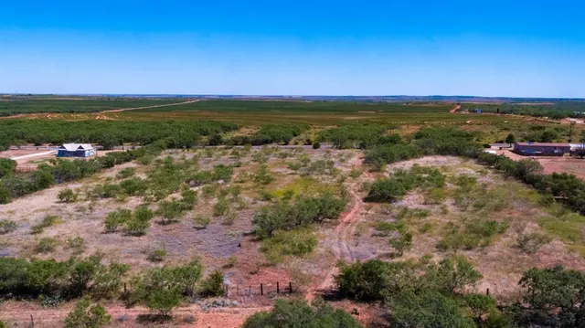 a view of a bunch of trees