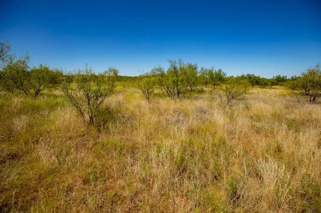 a view of a large yard with a house in the background