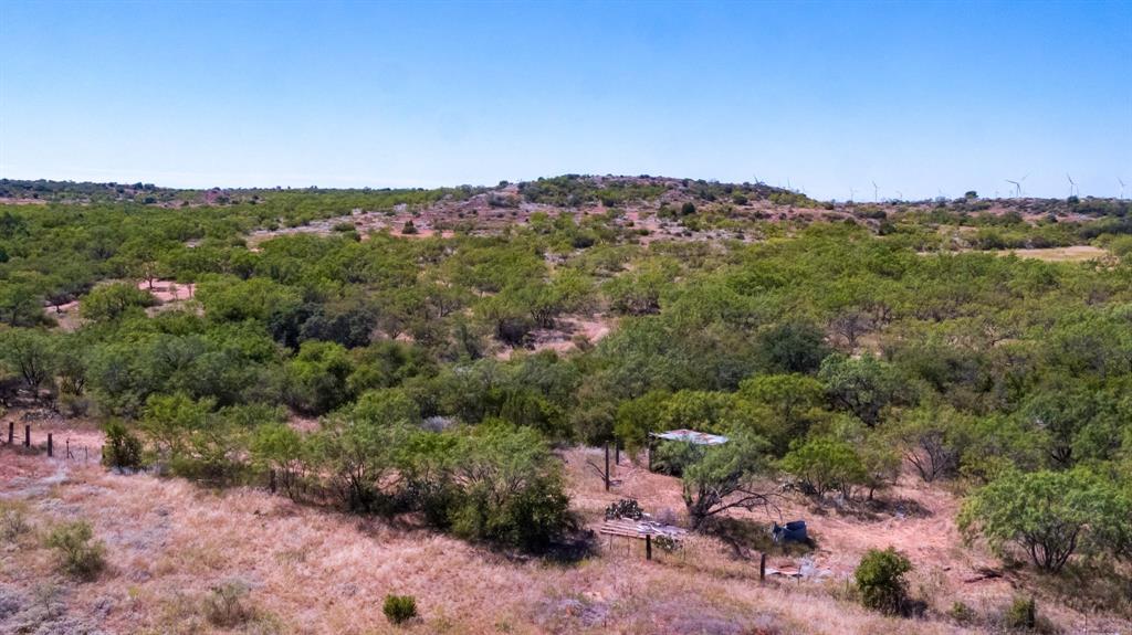 1978 Farm To Market 419 Sweetwater, TX 79556 - Photo 3 of 20