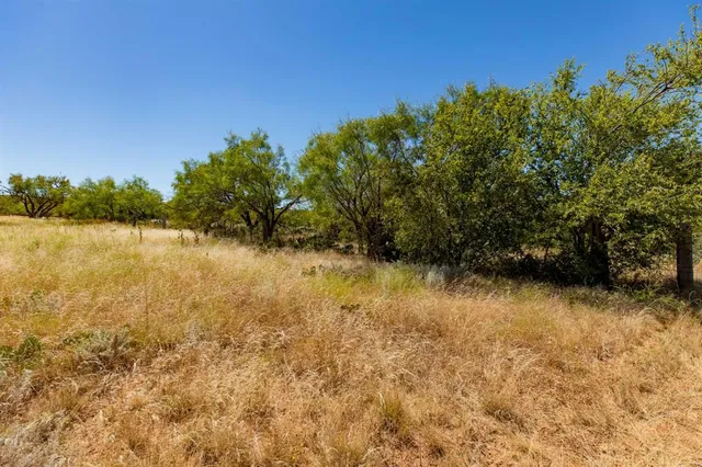 an aerial view of a houses with trees