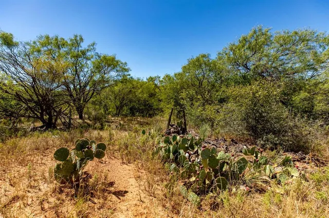 a view of lake with green space
