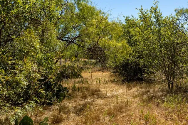 a view of city and ocean