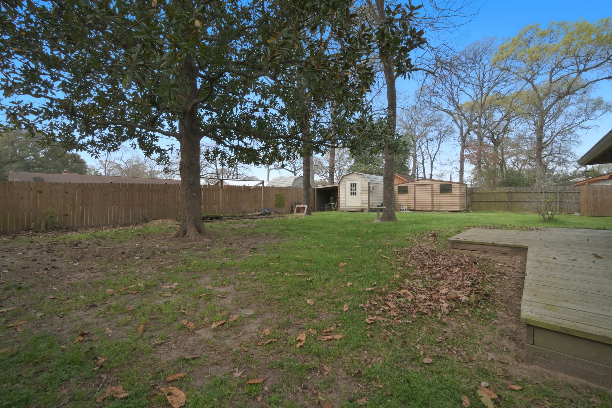 209 Red Oak Street Livingston, TX 77351 - Photo 33 of 34 Backyard View