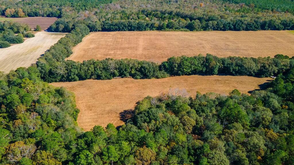 0 New Holland Road Batesburg, SC 29006 - Photo 8 of 25