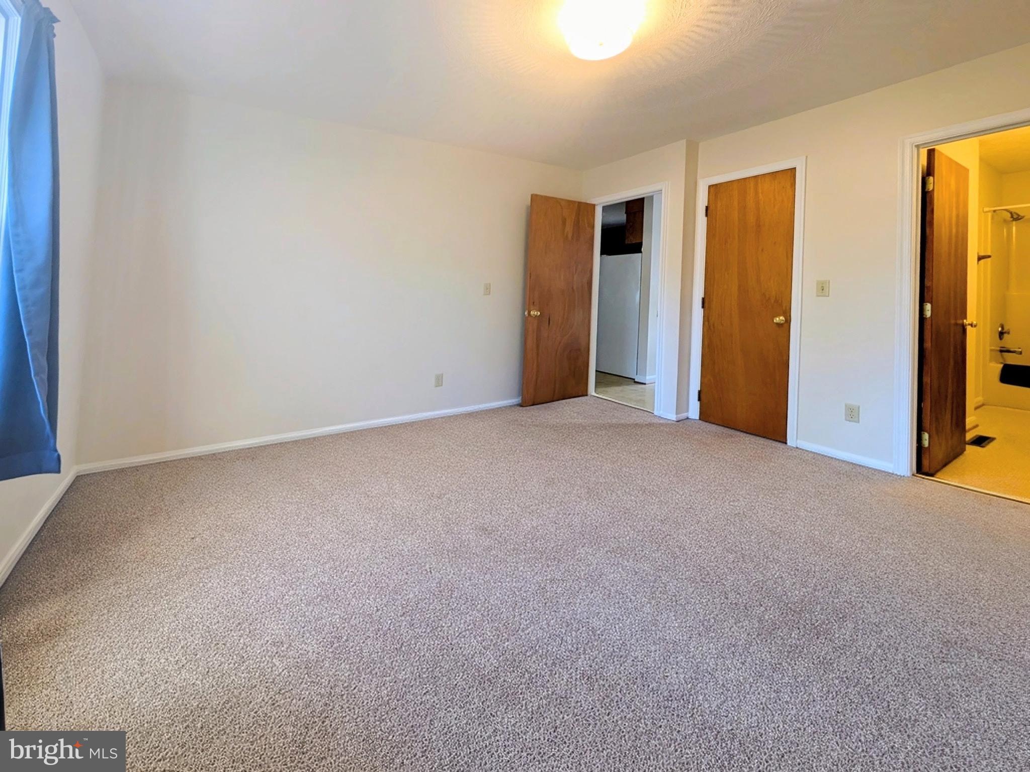 271 Rambling Road Ruckersville, VA 22968 - Photo 11 of 26 Primary Bedroom with Full Bath and large closet