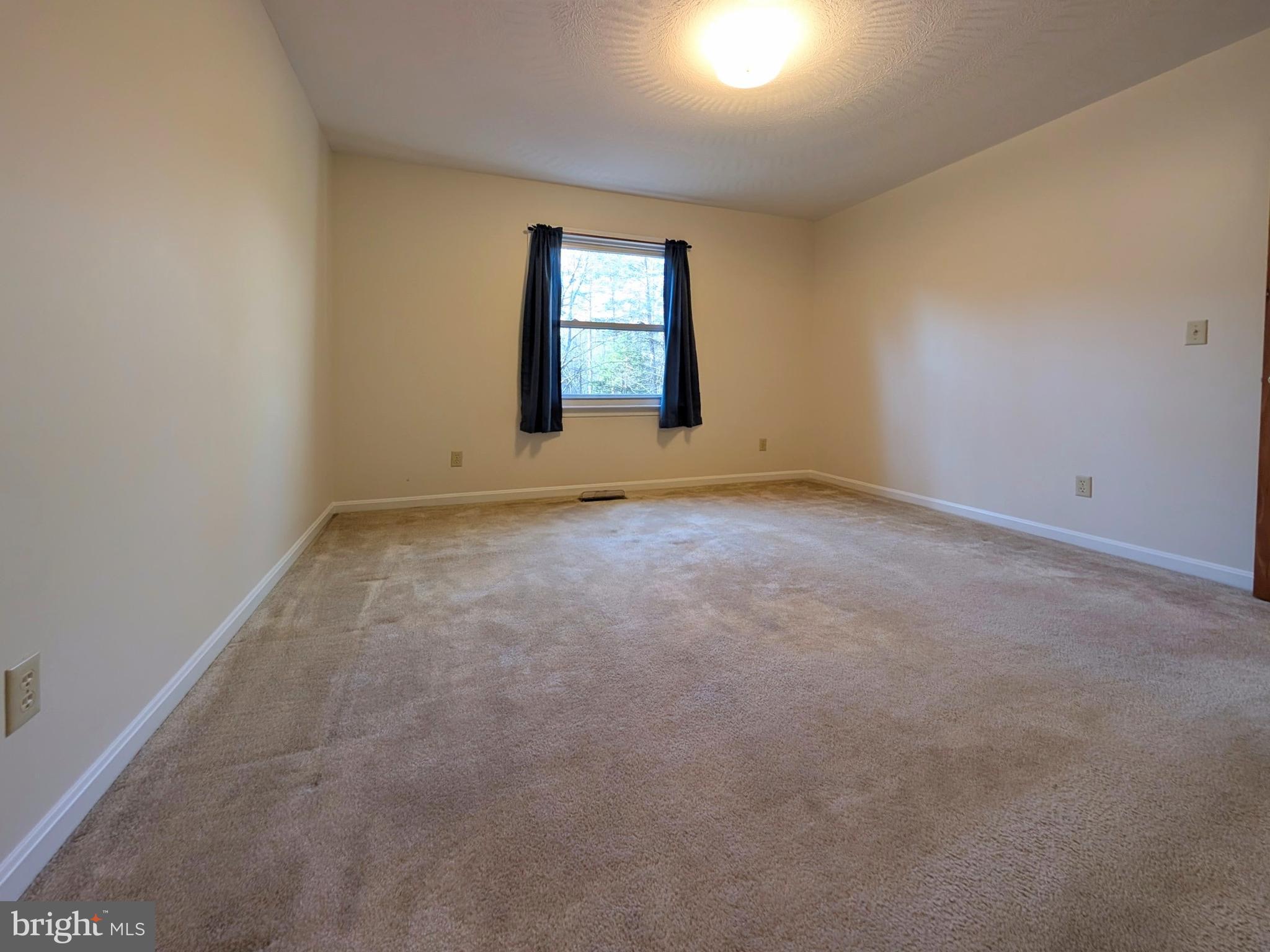 271 Rambling Road Ruckersville, VA 22968 - Photo 12 of 26 Primary Bedroom