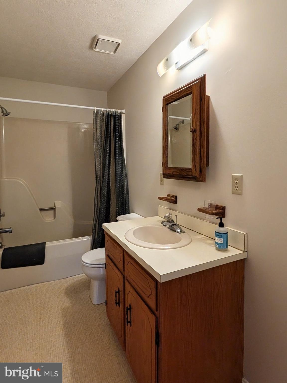 271 Rambling Road Ruckersville, VA 22968 - Photo 13 of 26 Primary Bedroom Full Bathroom
