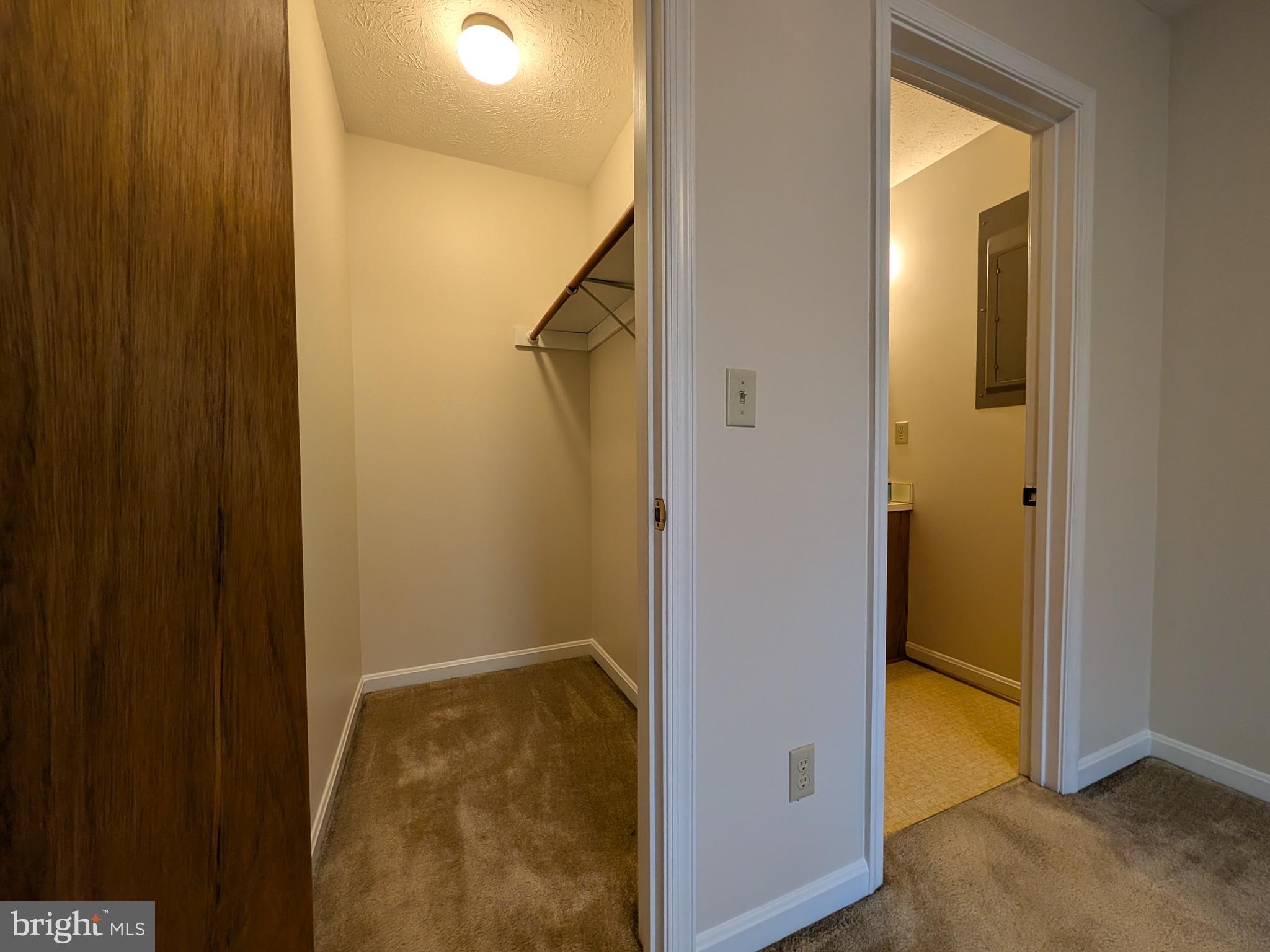 271 Rambling Road Ruckersville, VA 22968 - Photo 14 of 26 Primary Bedroom closet and bathroom