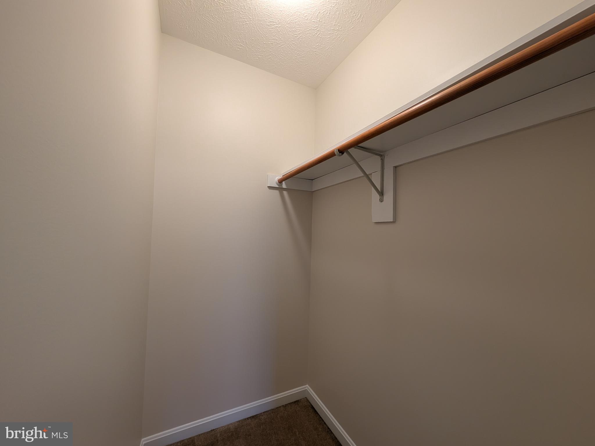 271 Rambling Road Ruckersville, VA 22968 - Photo 18 of 26 plenty of storage and closet space throughout home
