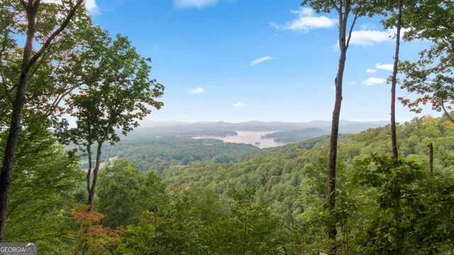 a view of a yard with an trees