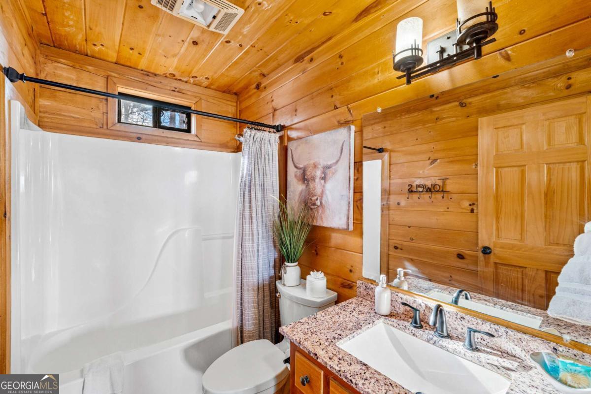 907 Ripshin Mountain Road Blue Ridge, GA 30513 - Photo 23 of 54