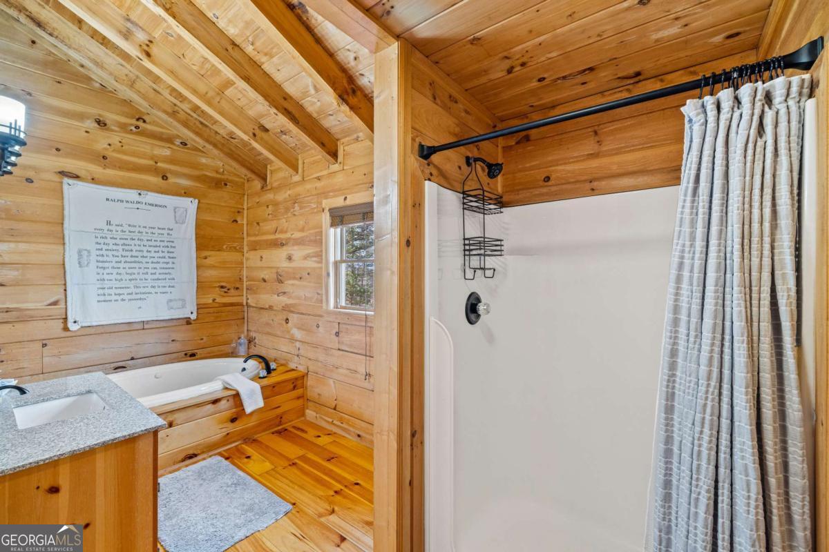 907 Ripshin Mountain Road Blue Ridge, GA 30513 - Photo 33 of 54