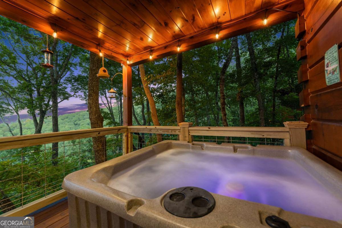 907 Ripshin Mountain Road Blue Ridge, GA 30513 - Photo 36 of 54