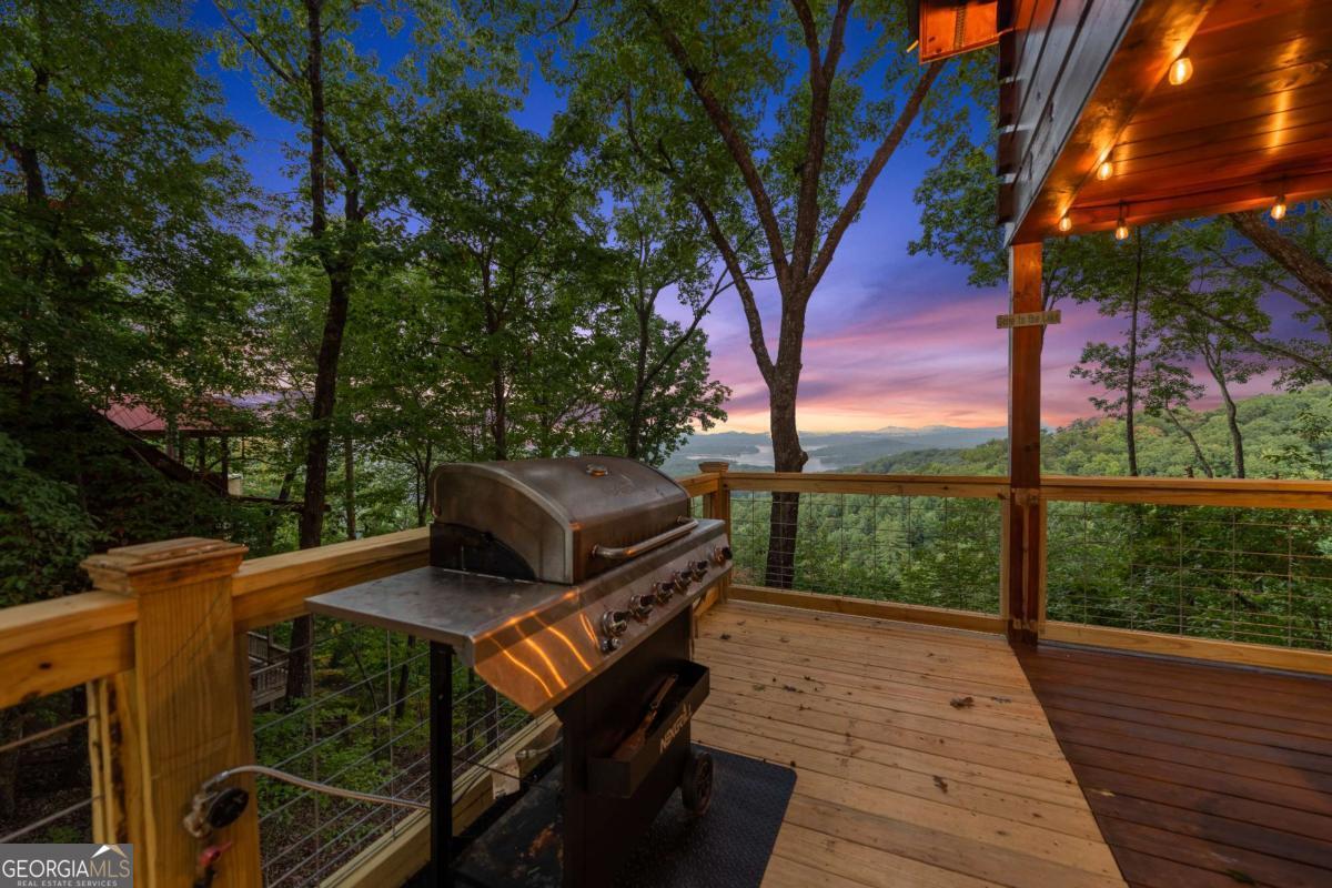 907 Ripshin Mountain Road Blue Ridge, GA 30513 - Photo 43 of 54