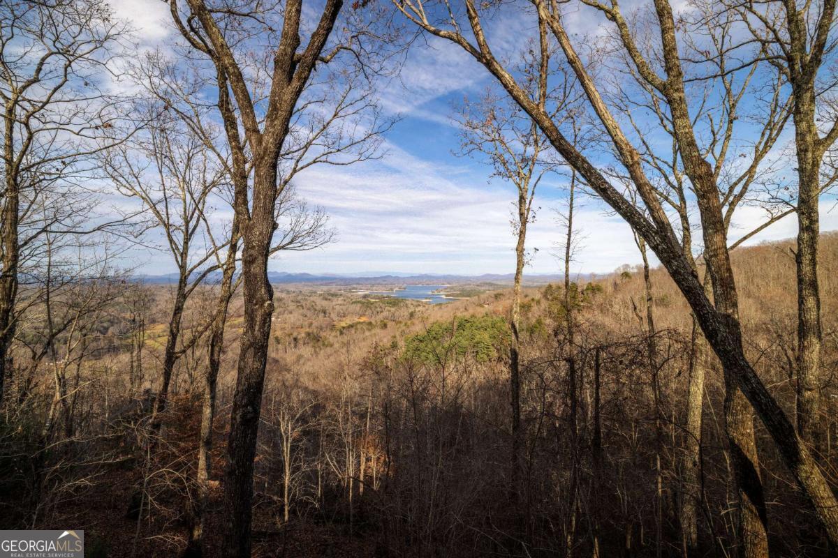 907 Ripshin Mountain Road Blue Ridge, GA 30513 - Photo 47 of 54