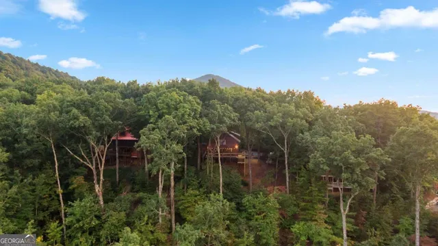 $899,000 | 907 Ripshin Mountain Road, Blue Ridge, GA 30513