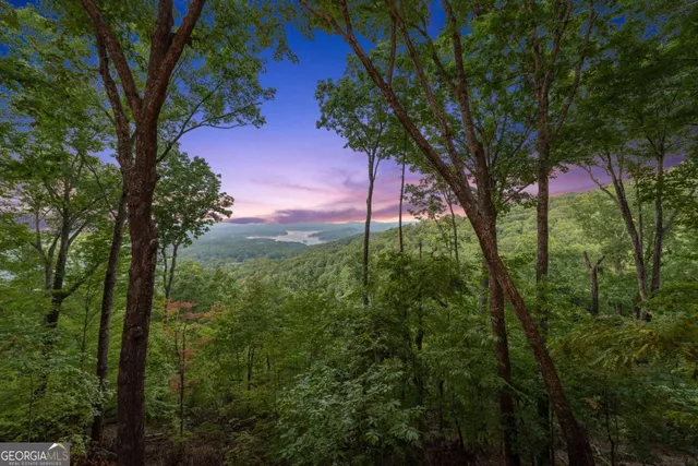 $899,000 | 907 Ripshin Mountain Road, Blue Ridge, GA 30513