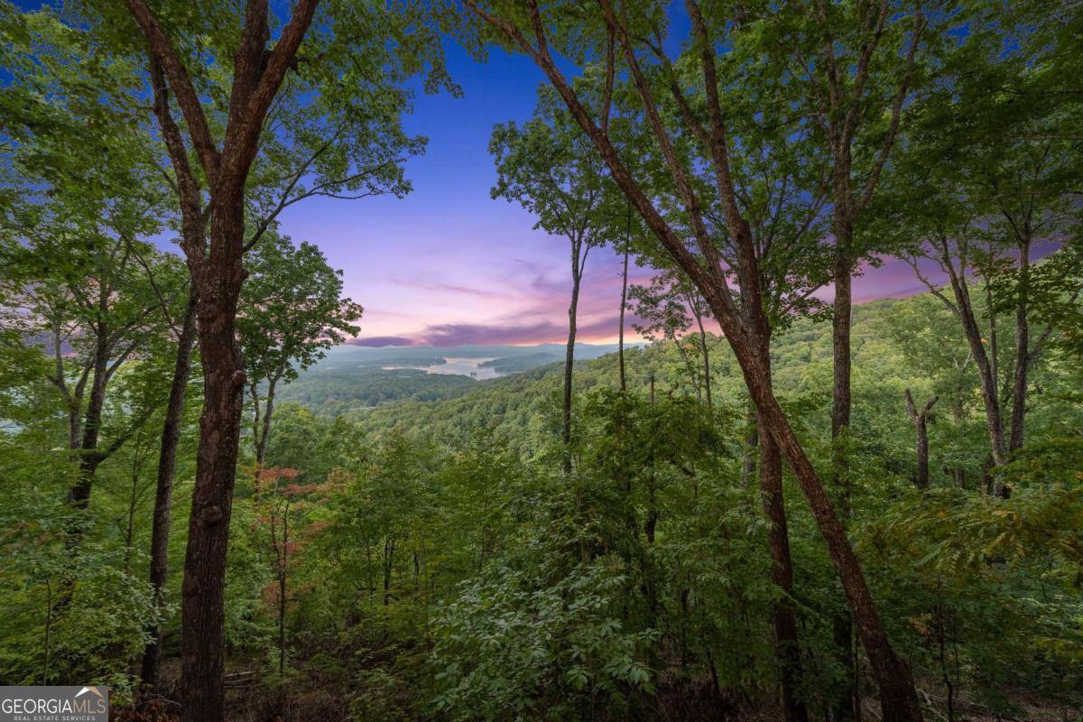 907 Ripshin Mountain Road Blue Ridge, GA 30513 - Photo 54 of 54