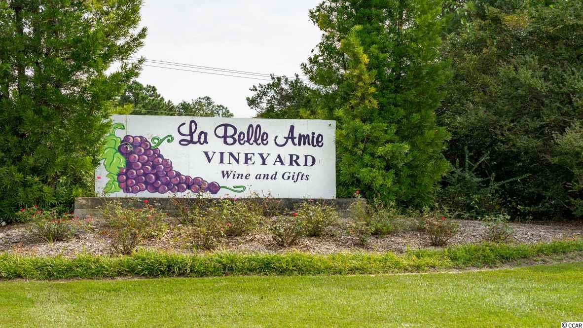 282 Juniata Loop Little River, SC 29566 - Photo 37 of 40