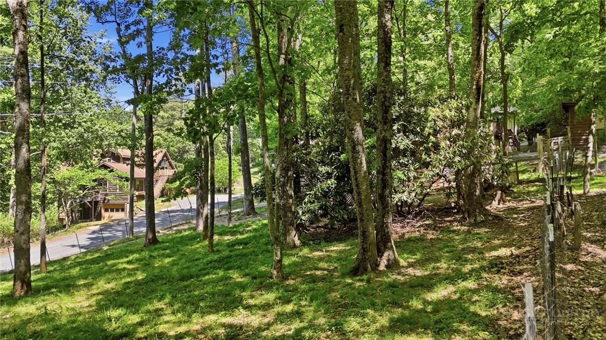 1268 Niley Cook Road Blowing Rock, NC 28605 - Photo 42 of 45 Gallery Image 42